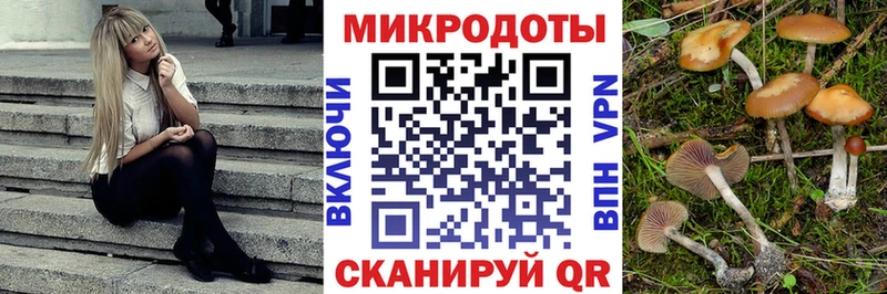 kraken   купить   Спас-Клепики  Галлюциногенные грибы GOLDEN TEACHER 